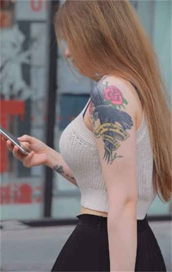 南瓜影视大全免费下载