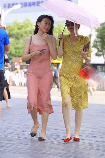 嗨动漫樱花