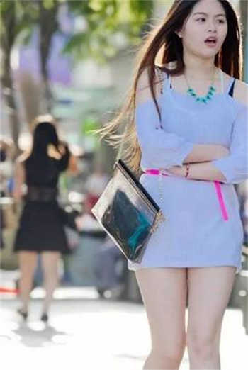 图案是猫爪的小说app