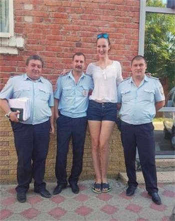 鬼灭之刃蝴蝶忍被 图