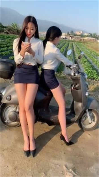 新茶约平台