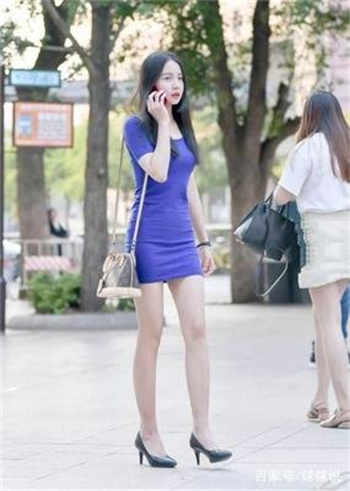 苏堂谢柏庭什么小说