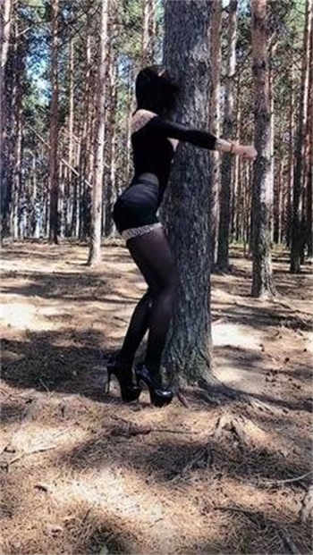 免费电视剧的网页