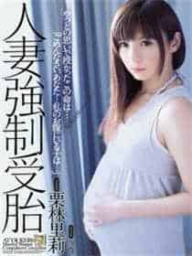 seegasm49小猫受